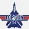 Top Gun Jet Logo