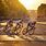 Tour De France Wallpaper 4K