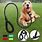 Training Leashes for Dogs