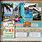 Travel Scrapbook Page Layout Ideas