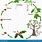 Tree Life Cycle Diagram
