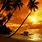 Tropical Beach Sunset Wallpaper