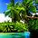 Tropical Nature Images