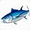 Tuna Fish Art