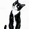 Tuxedo Cat Drawing