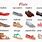 Types of Flat Shoes