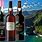 Types of Madeira Wines