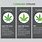 Types of Marijuana Strains and Effects
