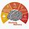 Types of Memory in Human Brain