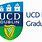 UCD Smurfit Logo