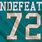 Undefeated Miami Dolphins