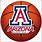 University of Arizona Wildcats Basketball