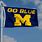 University of Michigan Go Blue