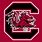 University of South Carolina Football Logo