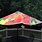 Unusual Patio Umbrellas