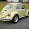 VW Beetle Back