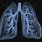 Vapor Lungs