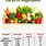 Vegetable Carb Counter Chart