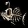 Viking Fish Skeleton