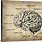 Vintage Brain Anatomy