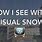 Visual Snow Simulator