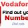 Vodafone Number Check