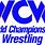 WCW Old Logo