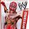 WWE Wrestling Toys and Figures
