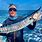 Wahoo Fish Pictures