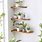 Wall Mounted Plant Shelf