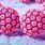 Warts and HPV Virus