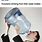 Water Bottle Meme