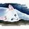 Watercolor White Cat
