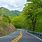 West Virginia Roads