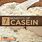 What Is Casein