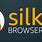What Is Silk Browser