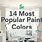 What Is the Most Popular Color to Paint