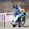 Wheelchair Cricket