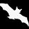 White Bat Black Background