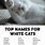 White Cat Names