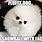 White Fluffy Dog Meme