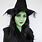 Wicked Witch Makeup Costume