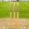 Wickets and Stumps