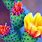 Wild Cactus Plants
