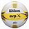 Wilson AVP Replica Volleyball