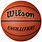 Wilson EVO Basketball