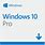 Windows 10 Pro Device