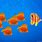 Windows XP Fish Wallpaper