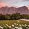 Wine Estates Cape Town