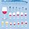 Wine Glass Shapes Chart